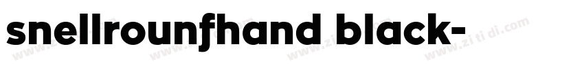 snellrounfhand black字体转换